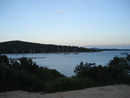 Cove Artaturi