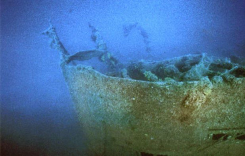 Submerged cargo steamer Tihany, Unije