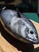 Frigate tuna curing