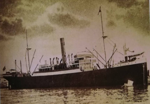 Submerged merchant steamer Pascoli, Susak
