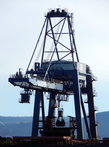 Crane for bulk cargo